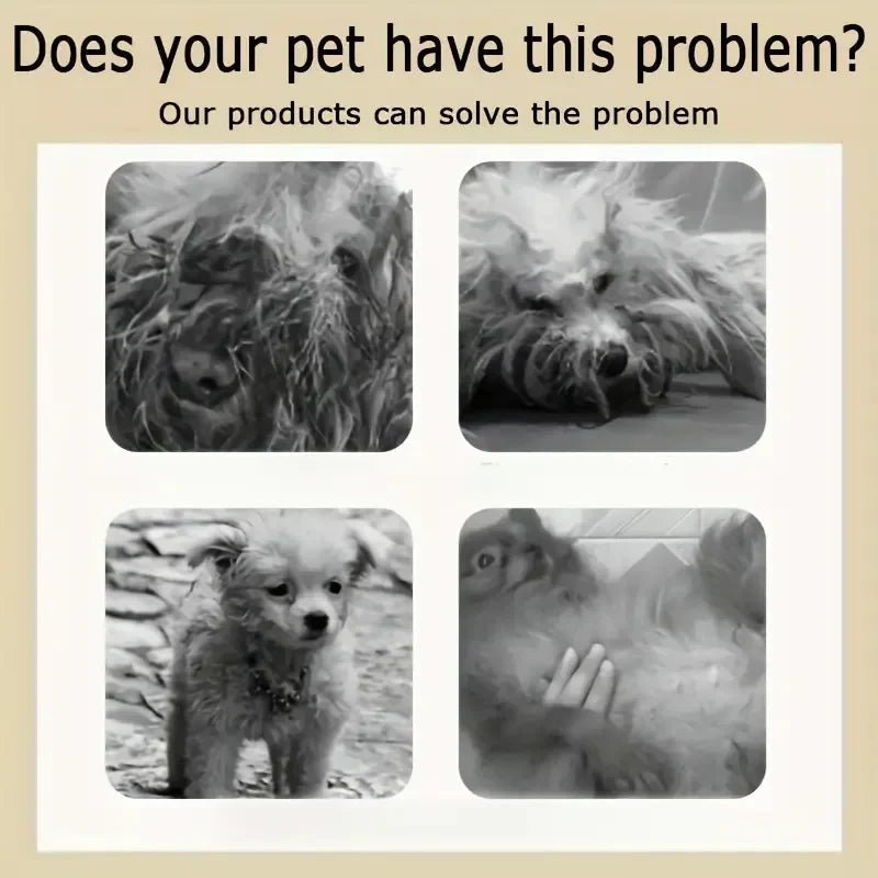 5-in-1 Coconut Pet Shampoo & Conditioner | Gentle Natural Formula for Dogs & Cats - Box 250g