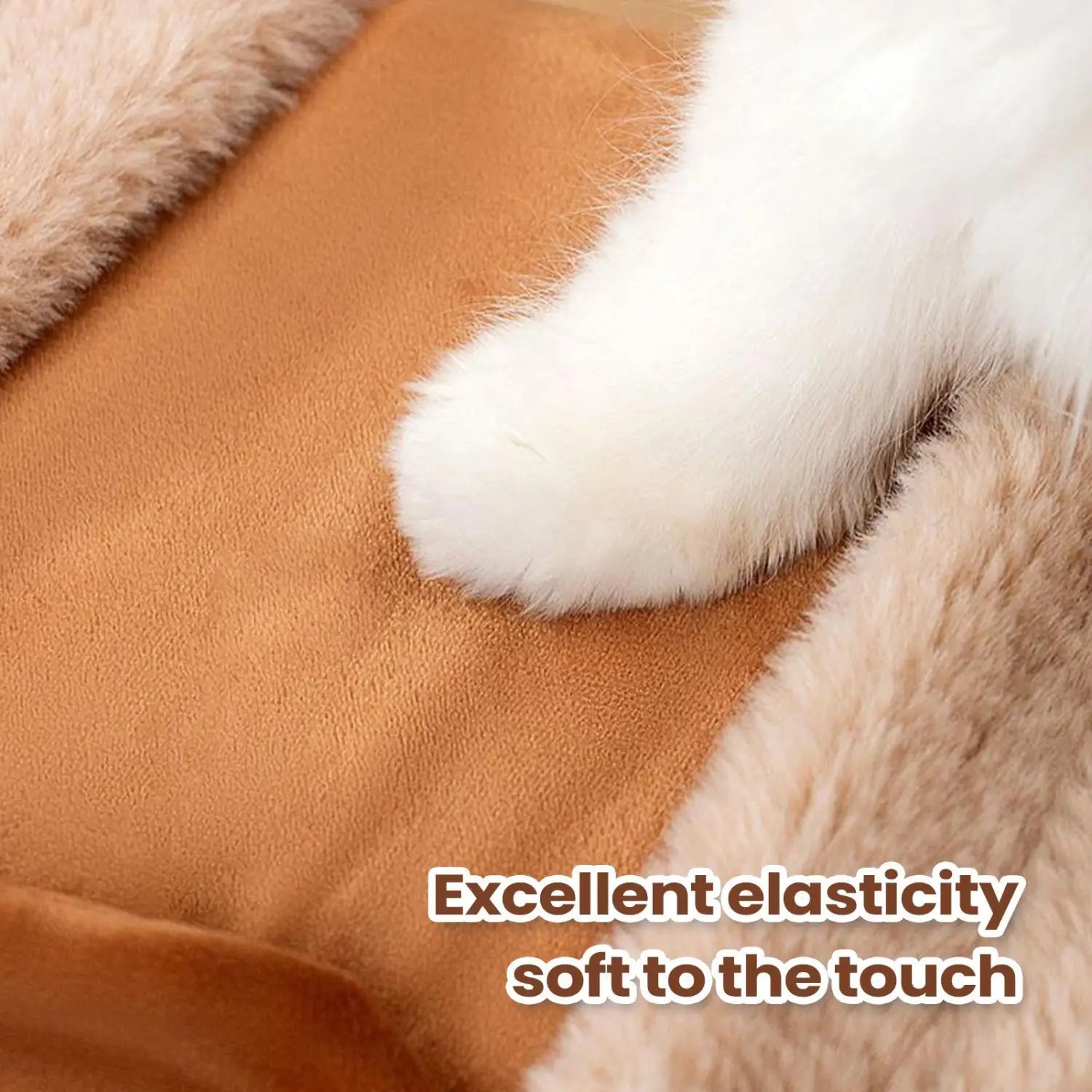 Weatherproof Travel Bag for Cats & Small Dogs