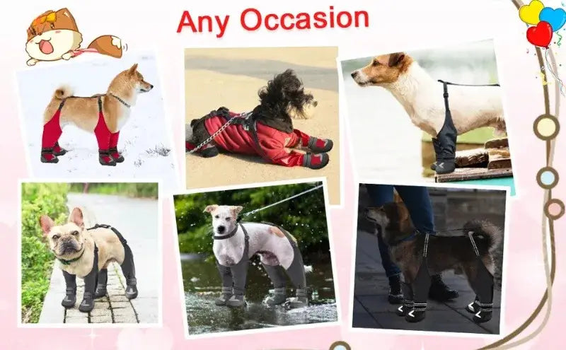 Anti-Slip Tall Dog Waterproof Boots with Suspenders for Winter Snow Rain & Hiking