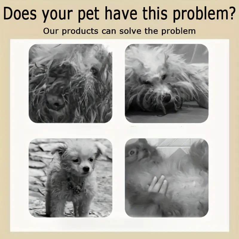 5-in-1 Coconut Pet Shampoo & Conditioner | Gentle Natural Formula for Dogs & Cats