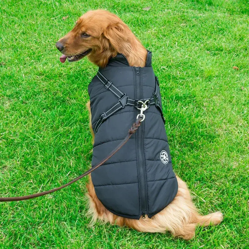 Warm Waterproof Winter Coat for Small Medium & Large Dogs
