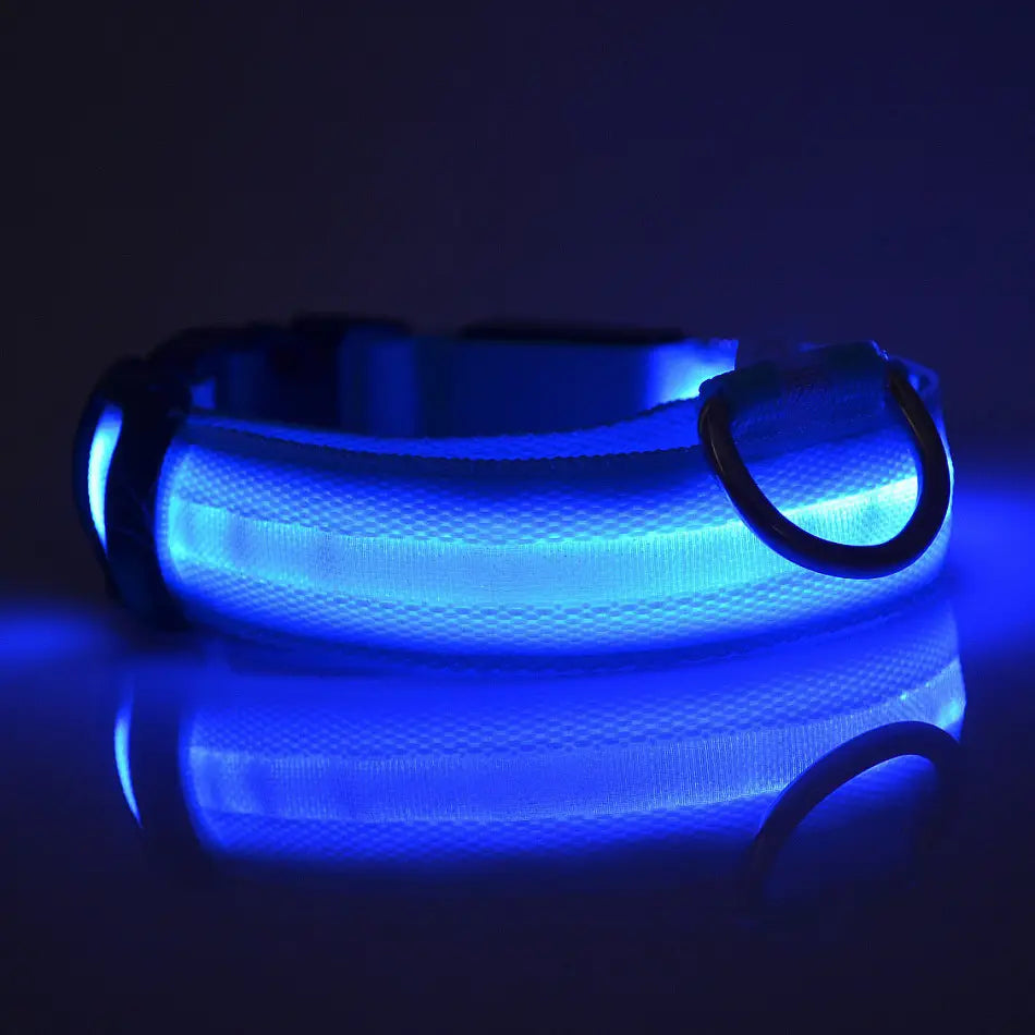 LED Glow Dog Leash with Luminous Collar – Night Safety Flashing Nylon Lead for Dogs