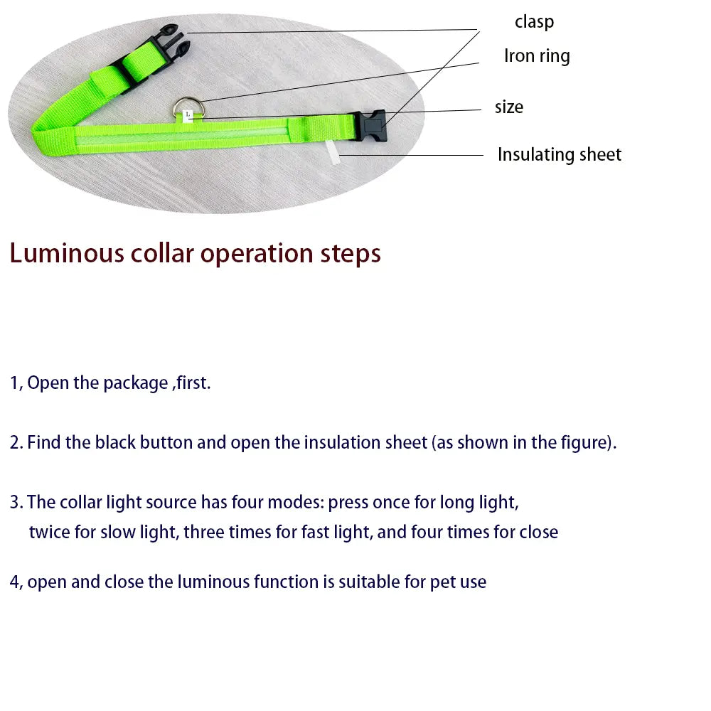 LED Glow Dog Leash with Luminous Collar – Night Safety Flashing Nylon Lead for Dogs