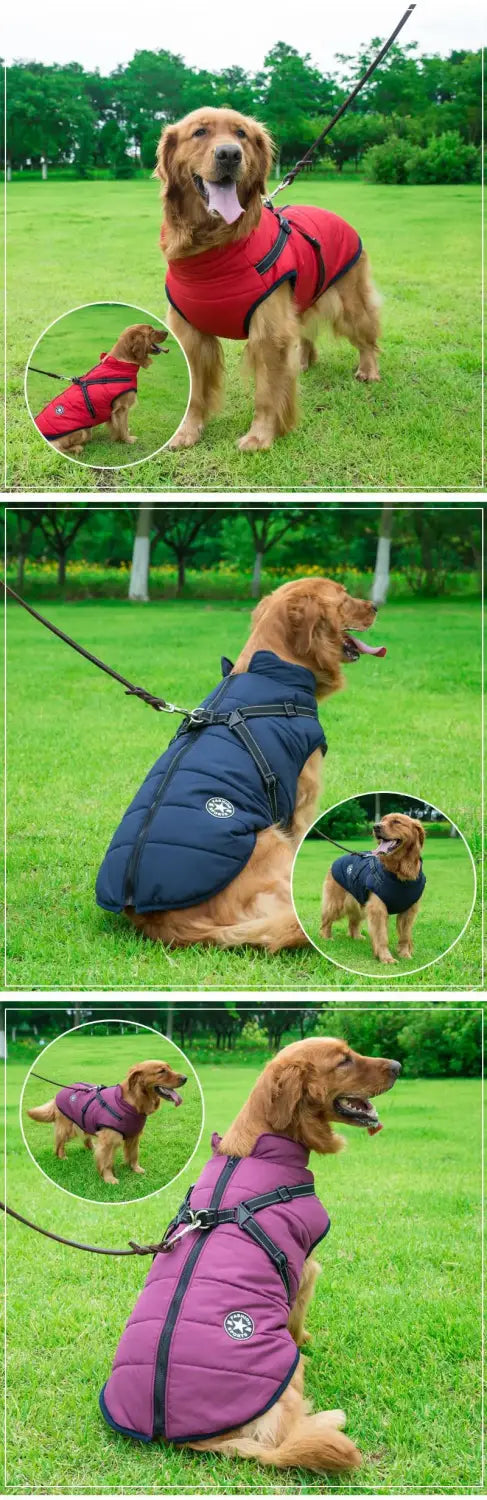 Warm Waterproof Winter Coat for Small Medium & Large Dogs