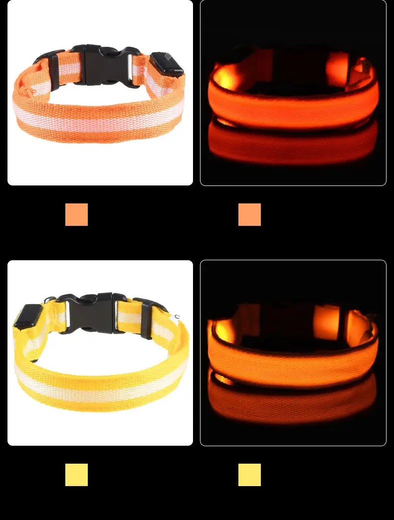 LED Glow Dog Leash with Luminous Collar – Night Safety Flashing Nylon Lead for Dogs