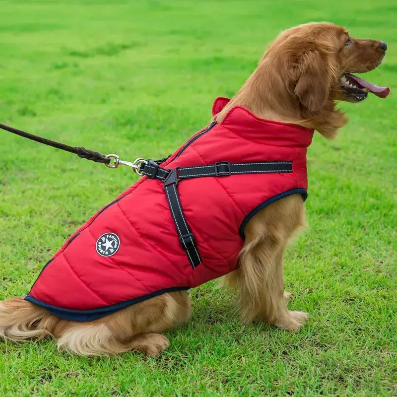 Warm Waterproof Winter Coat for Small Medium & Large Dogs