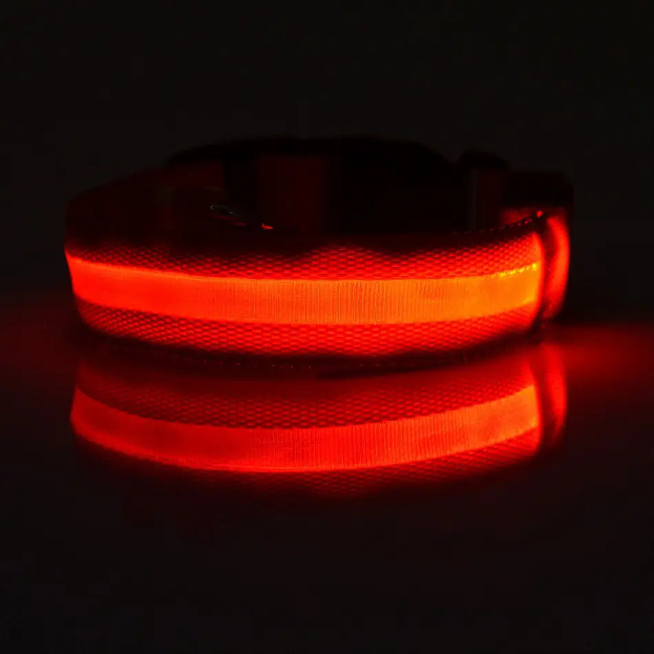 LED Glow Dog Leash with Luminous Collar – Night Safety Flashing Nylon Lead for Dogs