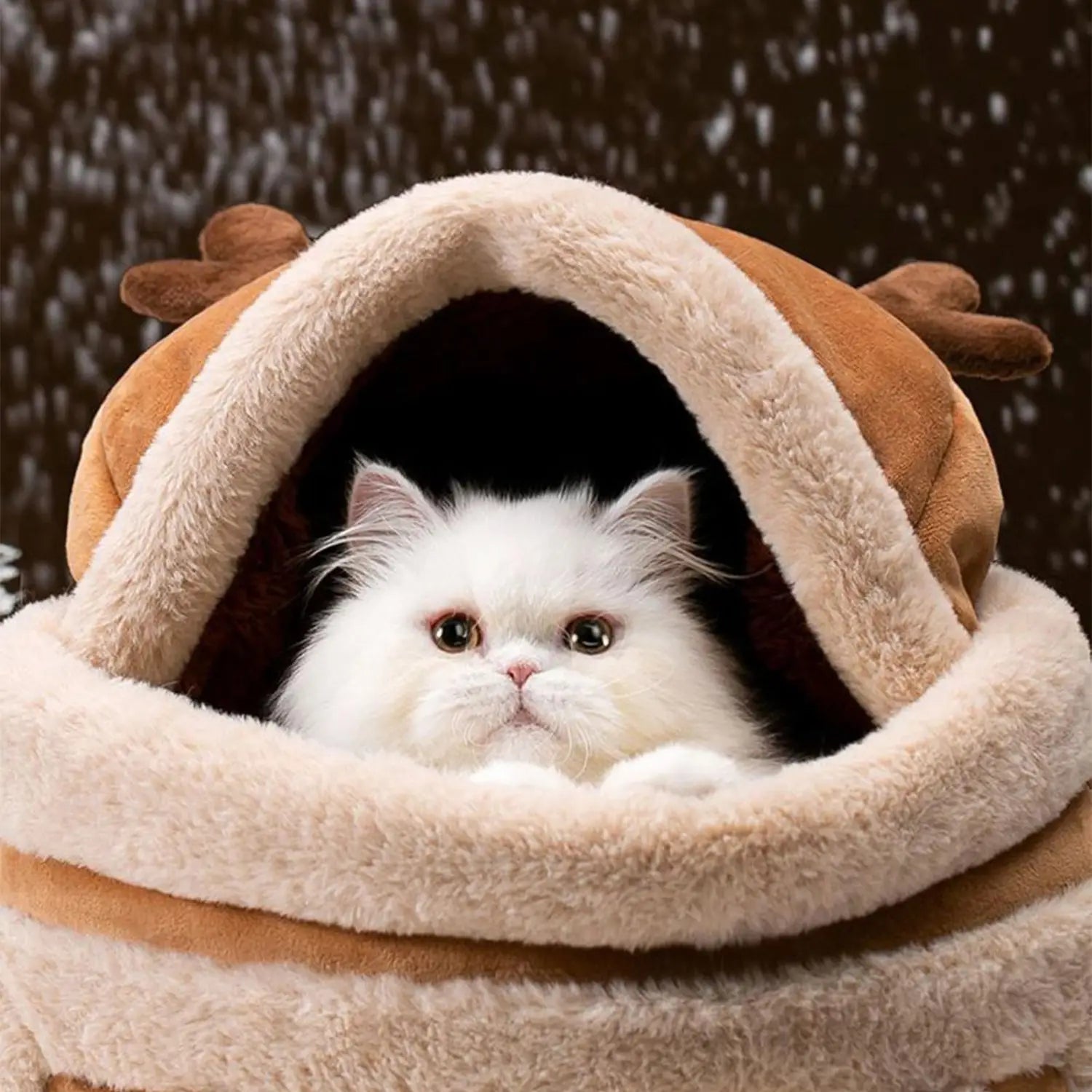 Weatherproof Travel Bag for Cats & Small Dogs