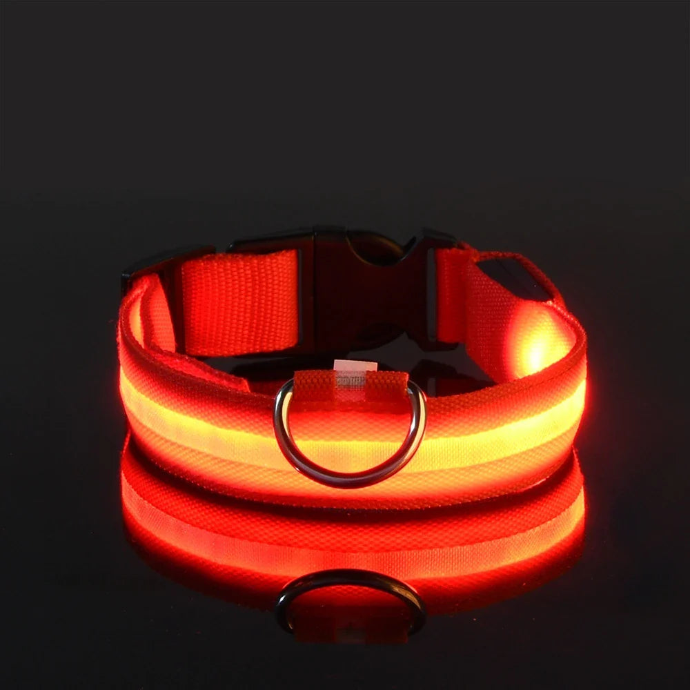 LED Glow Dog Leash with Luminous Collar – Night Safety Flashing Nylon Lead for Dogs - Red / XL