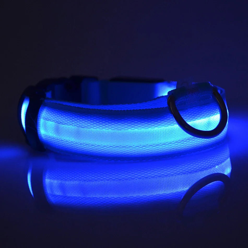 LED Glow Dog Leash with Luminous Collar – Night Safety Flashing Nylon Lead for Dogs