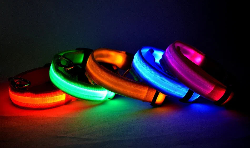 LED Glow Dog Leash with Luminous Collar – Night Safety Flashing Nylon Lead for Dogs