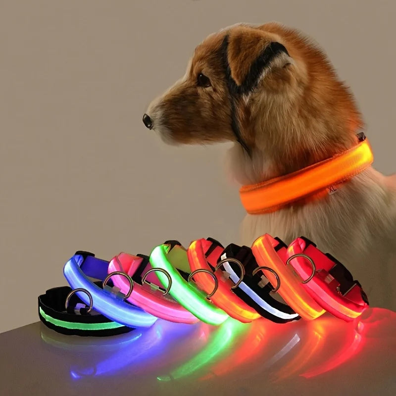 LED Glow Dog Leash with Luminous Collar – Night Safety Flashing Nylon Lead for Dogs