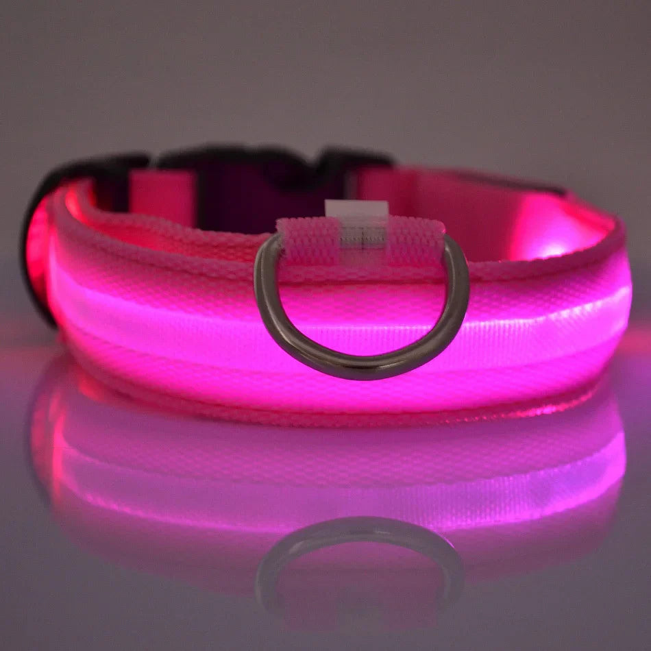 LED Glow Dog Leash with Luminous Collar – Night Safety Flashing Nylon Lead for Dogs