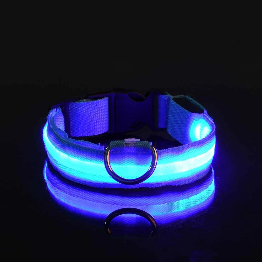 LED Glow Dog Leash with Luminous Collar – Night Safety Flashing Nylon Lead for Dogs - Blue / S