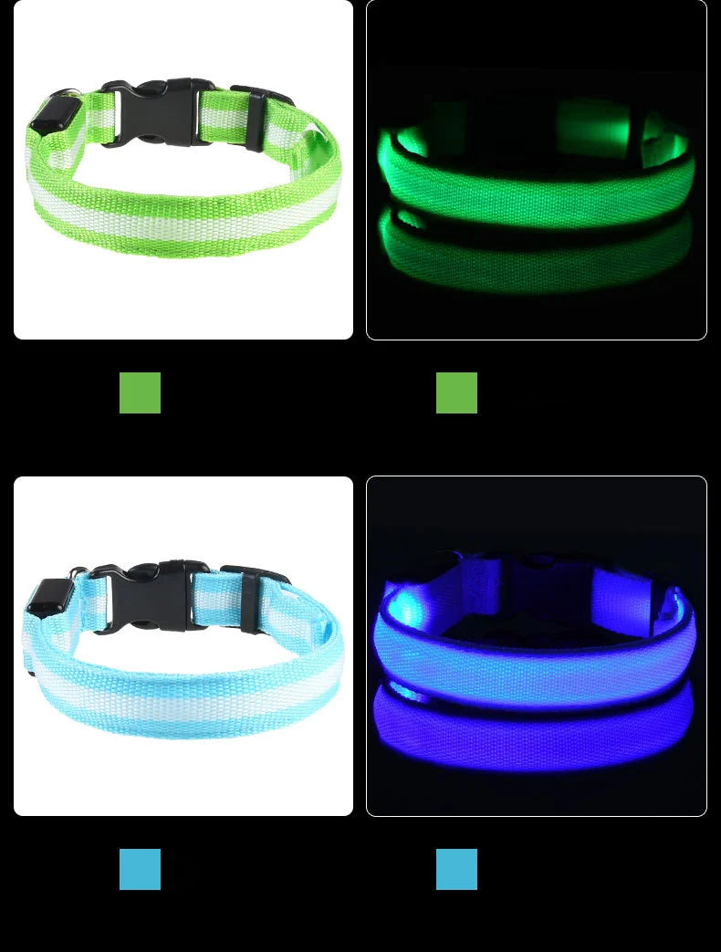 LED Glow Dog Leash with Luminous Collar – Night Safety Flashing Nylon Lead for Dogs