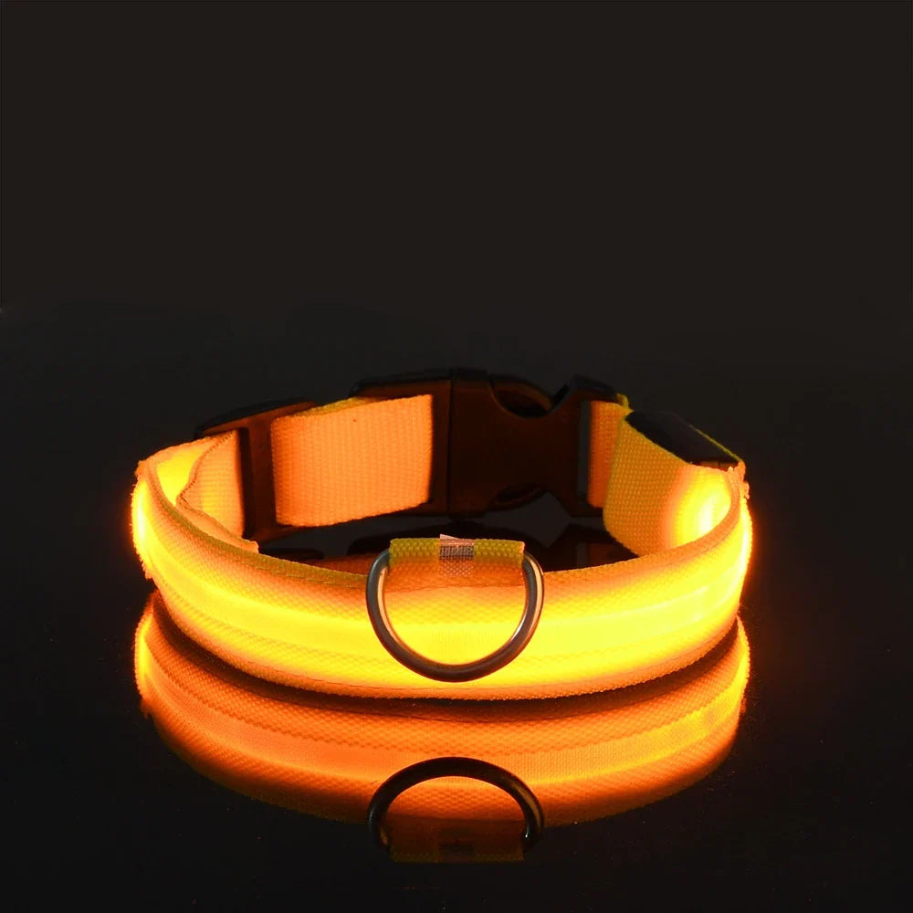 LED Glow Dog Leash with Luminous Collar – Night Safety Flashing Nylon Lead for Dogs - YELLOW / XS（old）