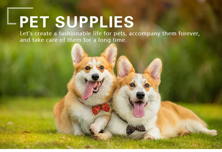Pet Carrier Backpack Bag Dog Outdoor Travel Bag