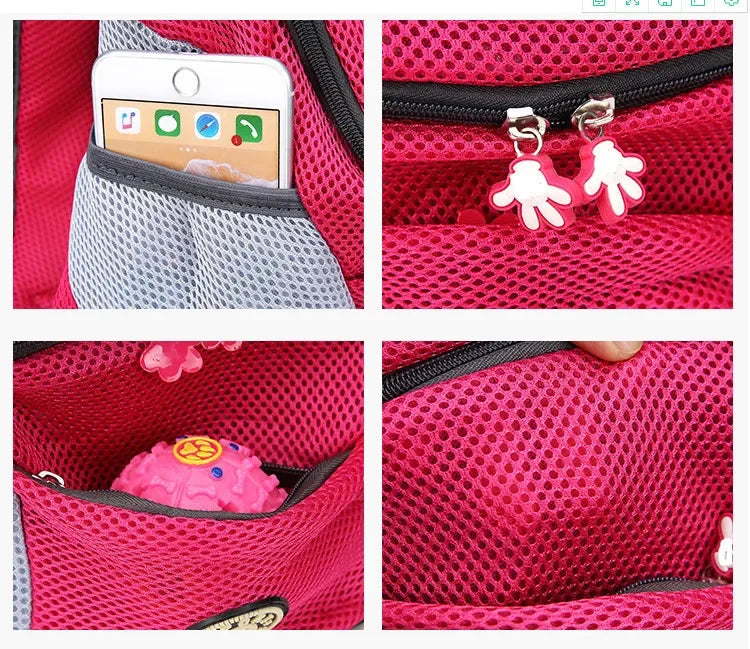 Pet Carrier Backpack for Cats & Small Dogs