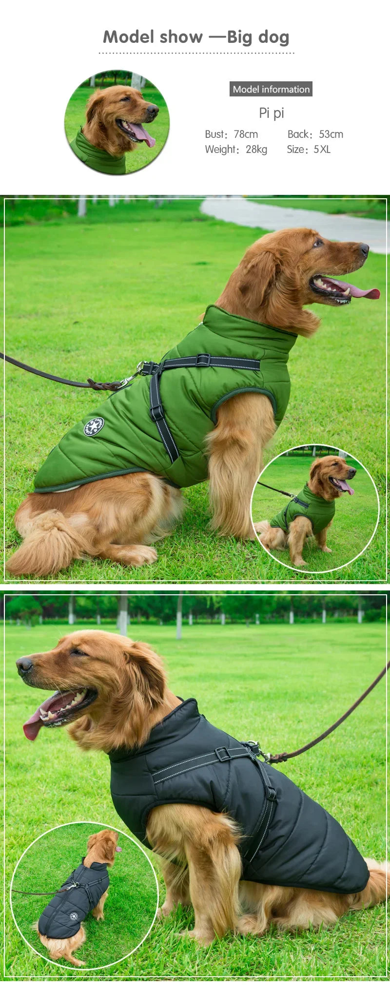Warm Waterproof Winter Coat for Small Medium & Large Dogs