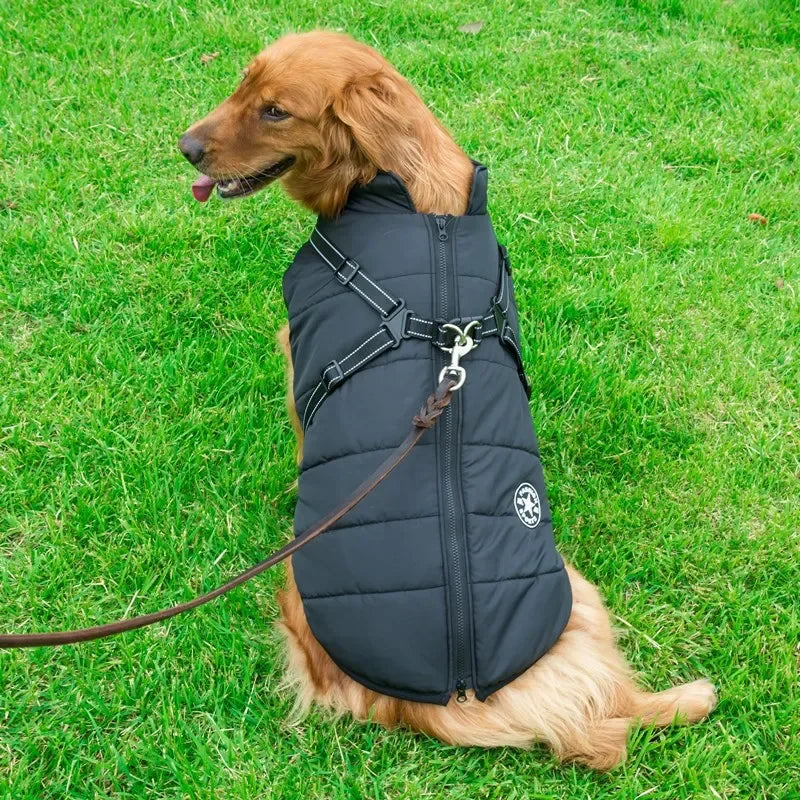 Warm Waterproof Winter Coat for Small Medium & Large Dogs