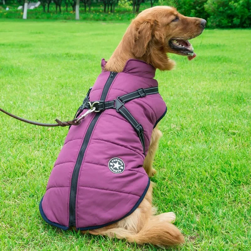 Warm Waterproof Winter Coat for Small Medium & Large Dogs