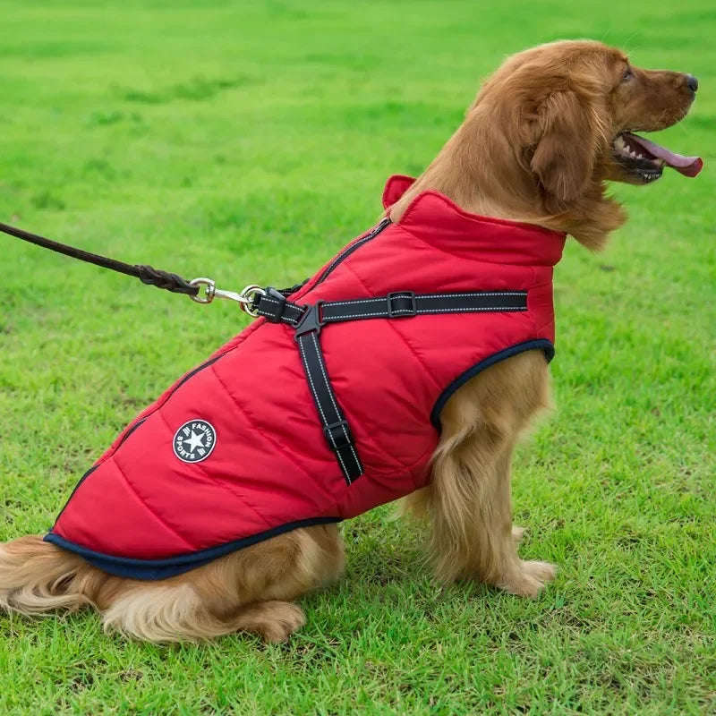 Warm Waterproof Winter Coat for Small Medium & Large Dogs