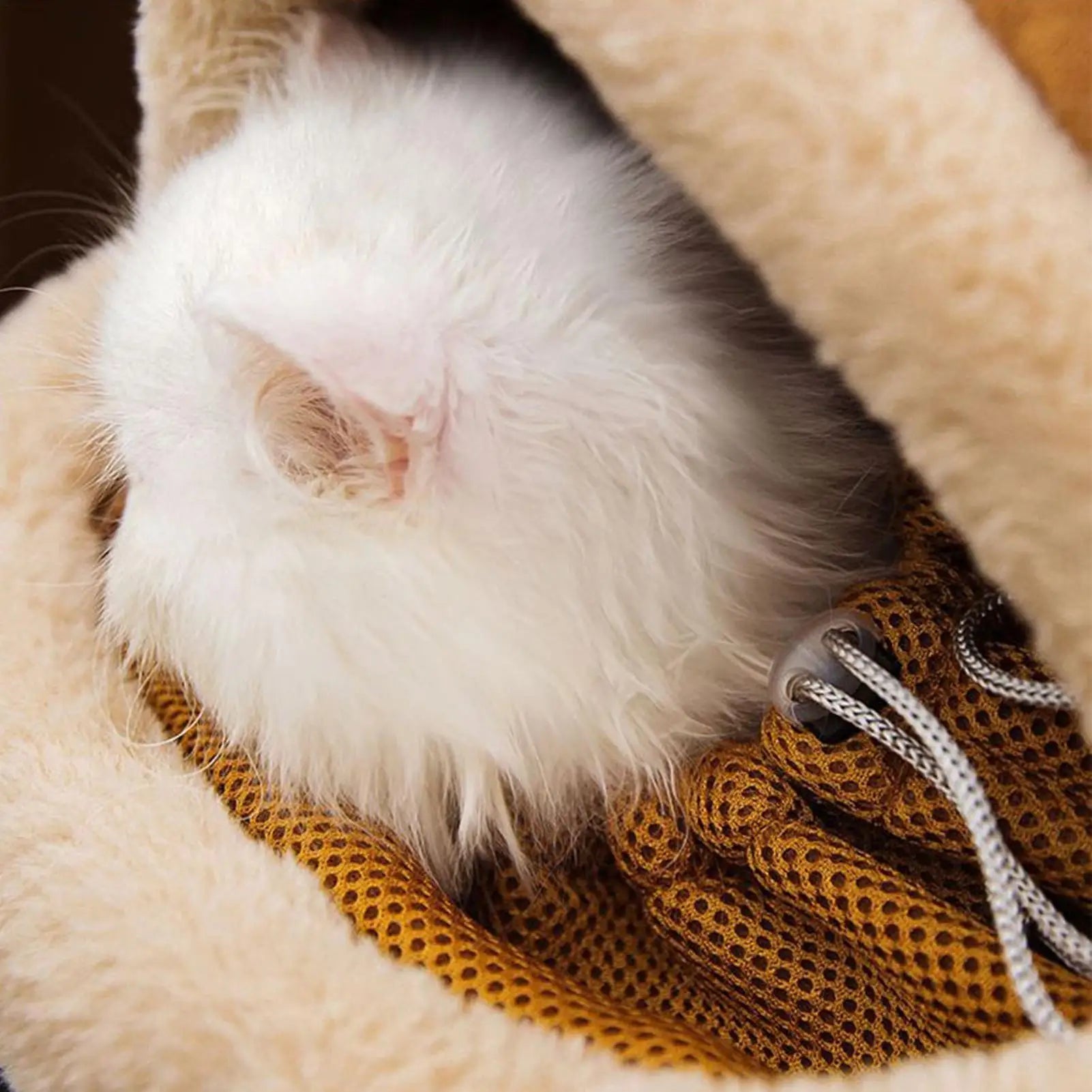 Weatherproof Travel Bag for Cats & Small Dogs