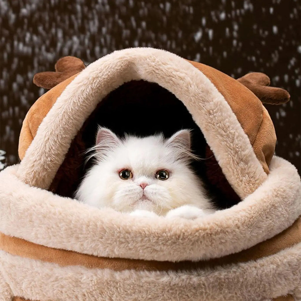Weatherproof Travel Bag for Cats & Small Dogs